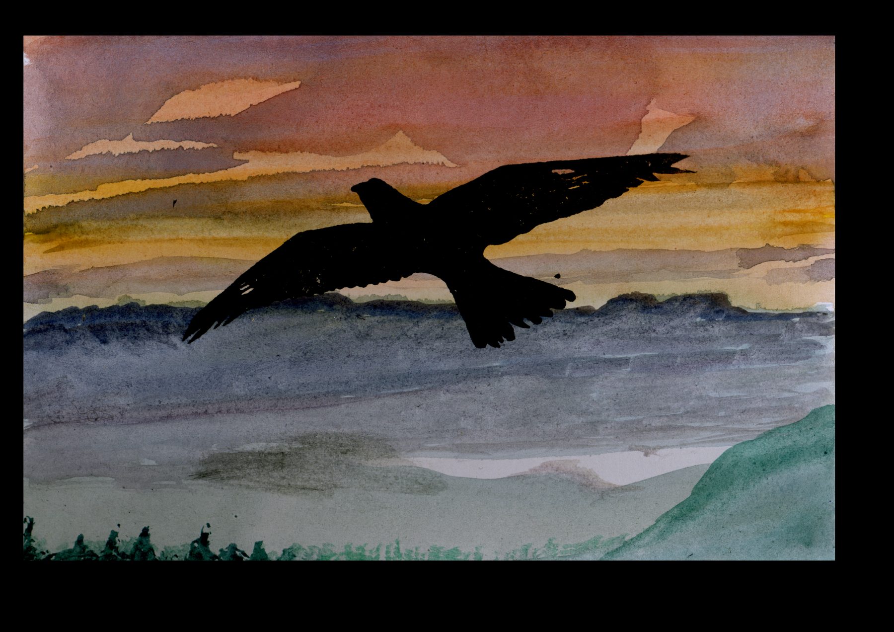 Night Hawk artwork