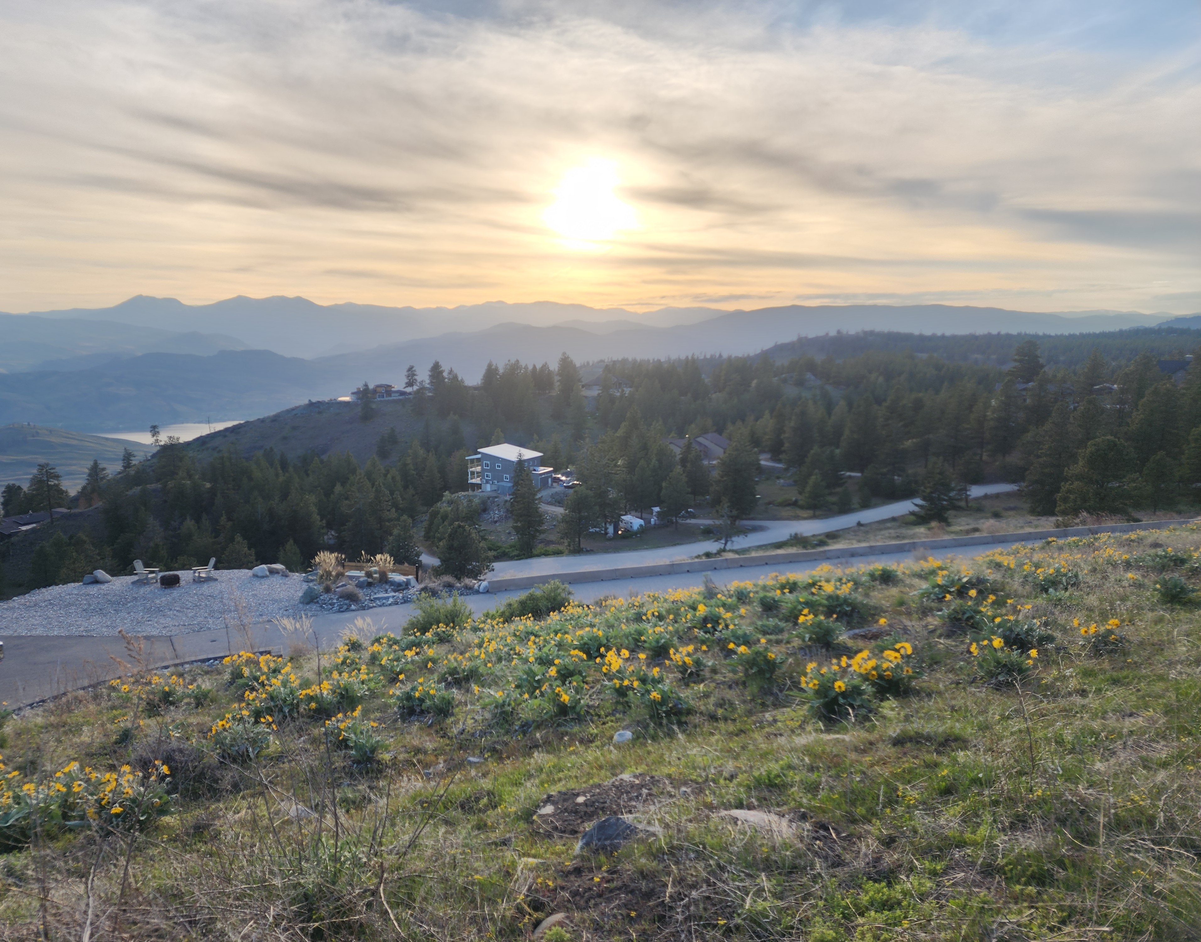 Mountain meadow in spring, the original inspiration for Spring Beginnings